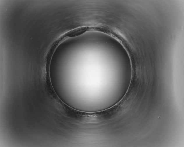X0000089901315200707051300
