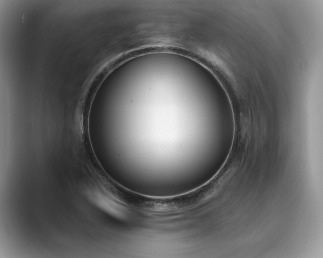 X0000089901318200707051300