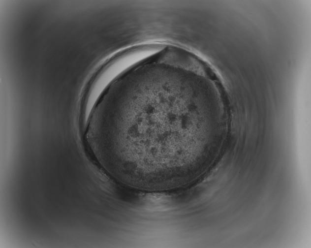 X0000089901319200707051300