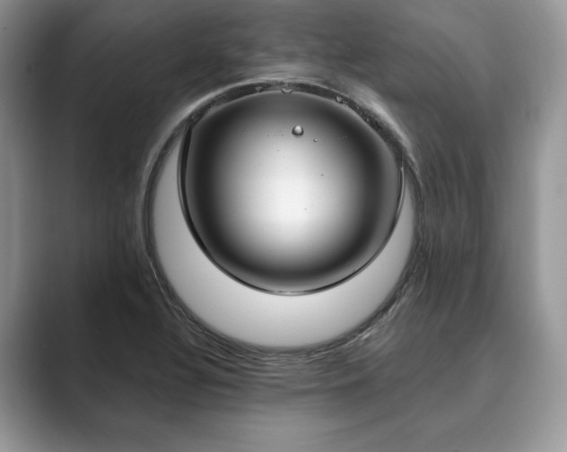 X0000089901320200707051300