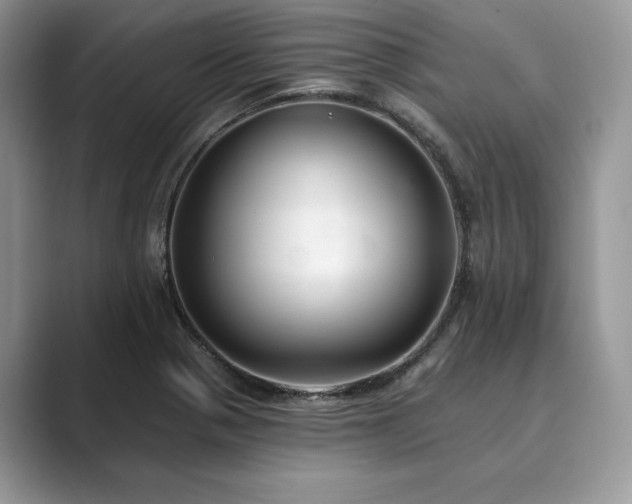 X0000089901321200707051300