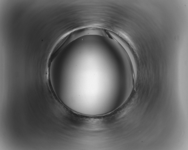 X0000089901324200707051300