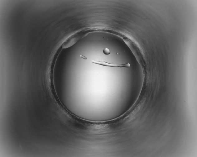 X0000089901325200707051300