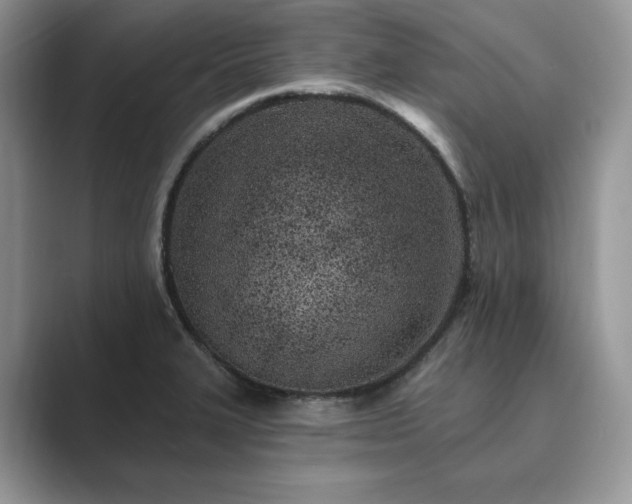 X0000089901327200707051300