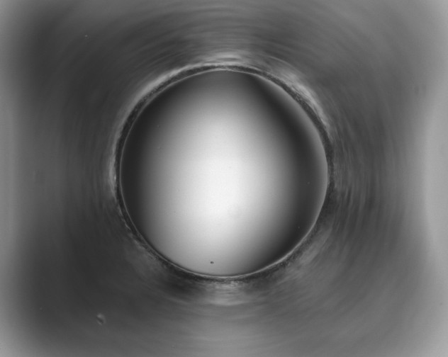 X0000089901328200707051300
