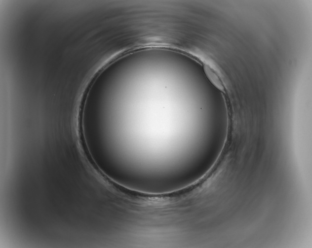 X0000089901333200707051300