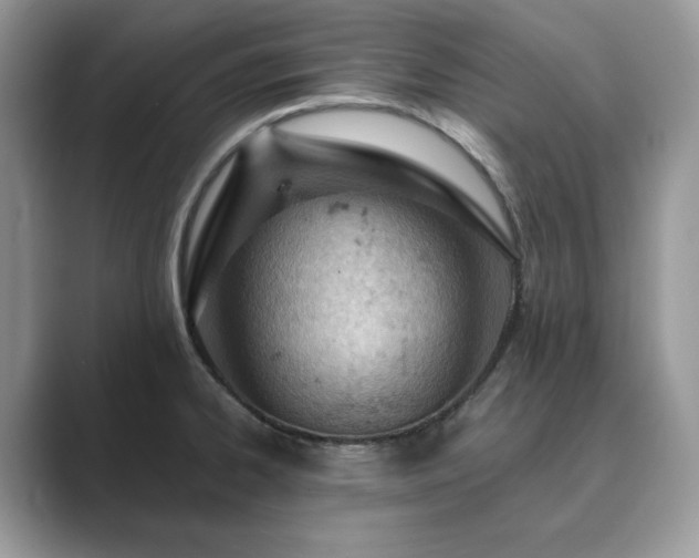 X0000089901334200707051300
