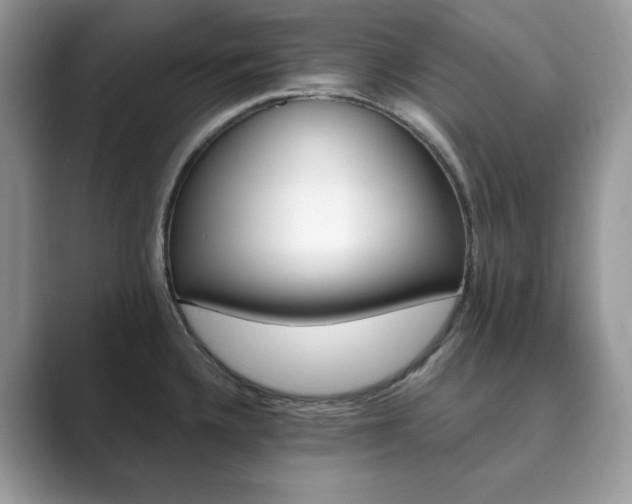 X0000089901336200707051300