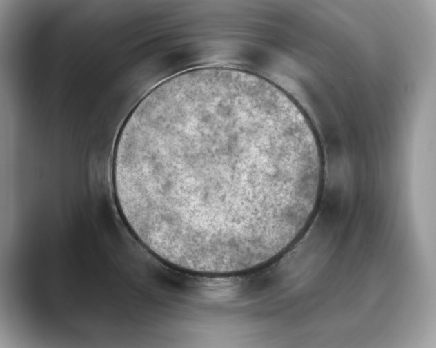 X0000089901338200707051300