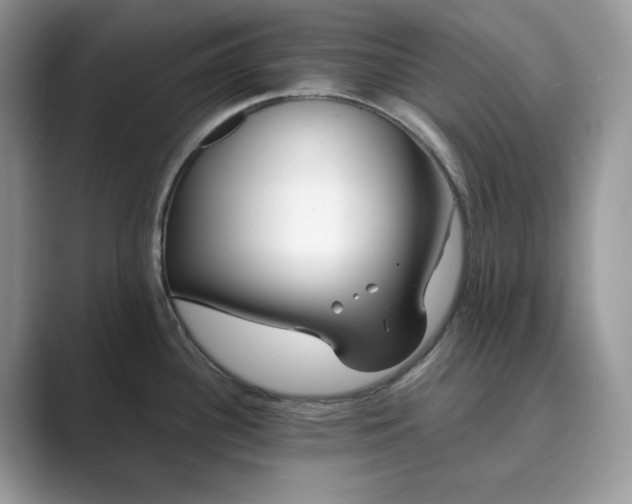 X0000089901340200707051300