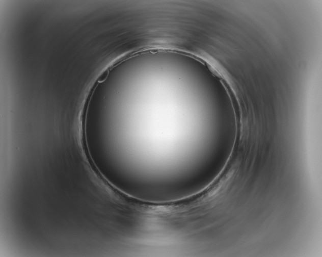 X0000089901341200707051300