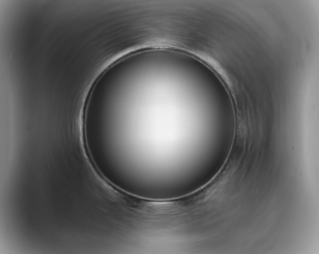 X0000089901343200707051300