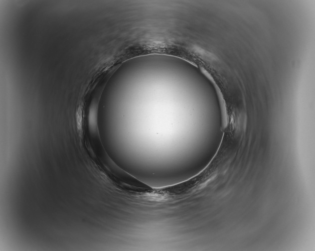 X0000089901348200707051300