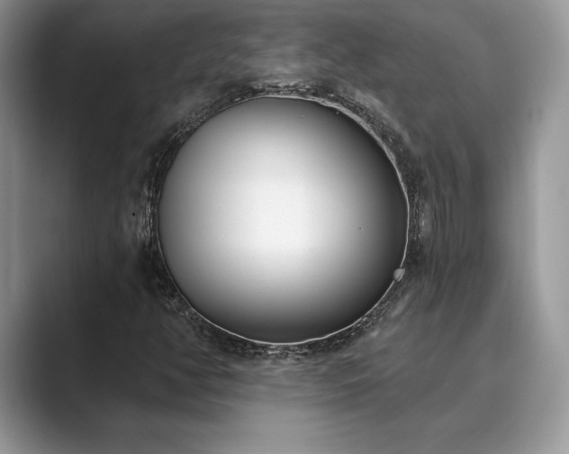 X0000089901350200707051300