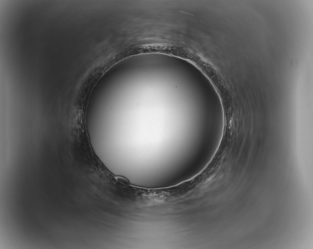 X0000089901351200707051300