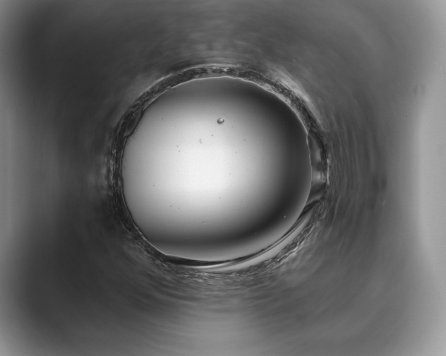 X0000089901352200707051300