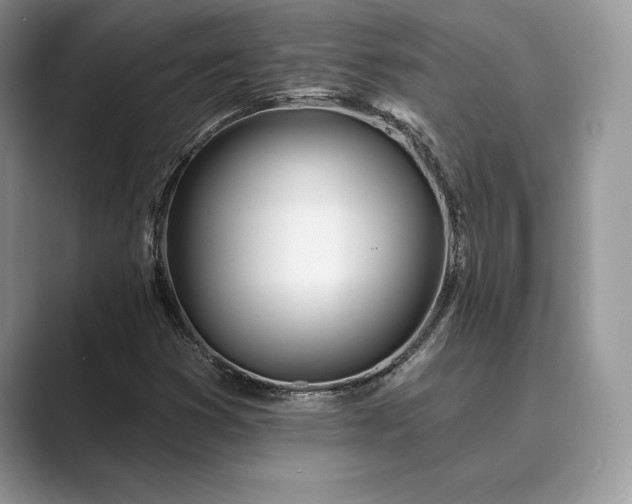 X0000089901353200707051300