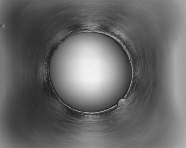 X0000089901354200707051300