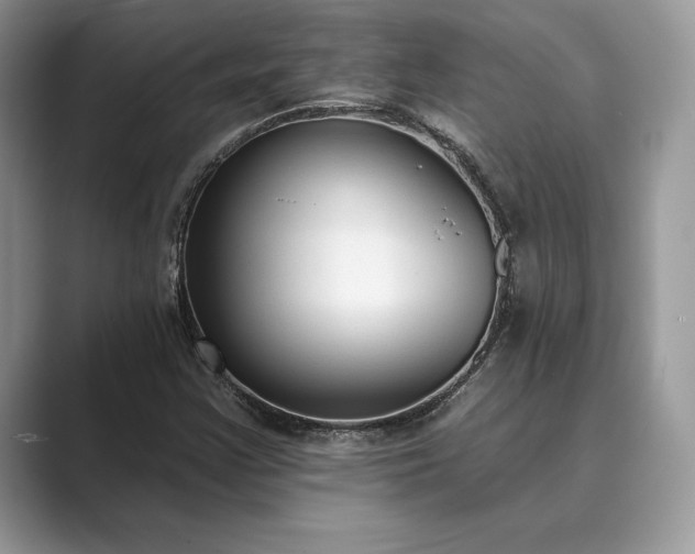 X0000089901355200707051300