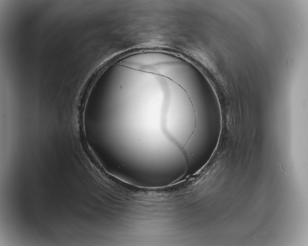 X0000089901356200707051300