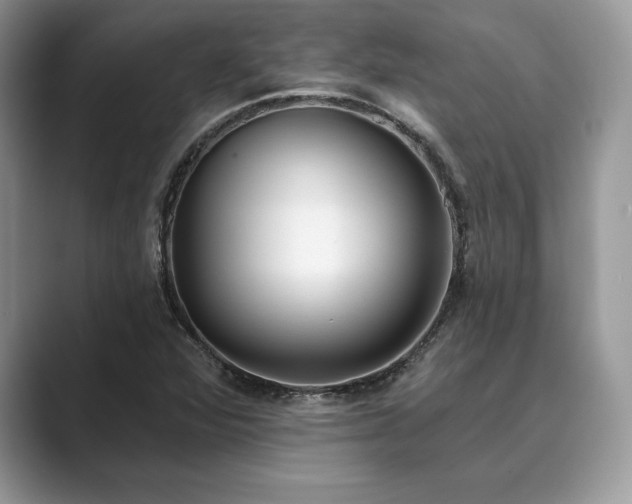 X0000089901360200707051300