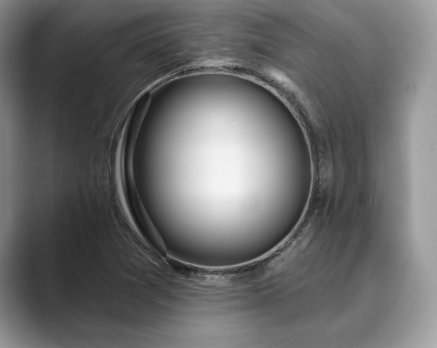 X0000089901361200707051300