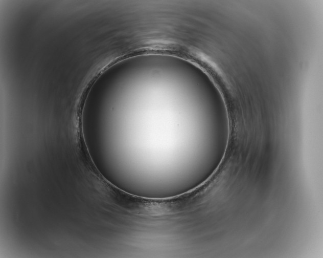X0000089901362200707051300