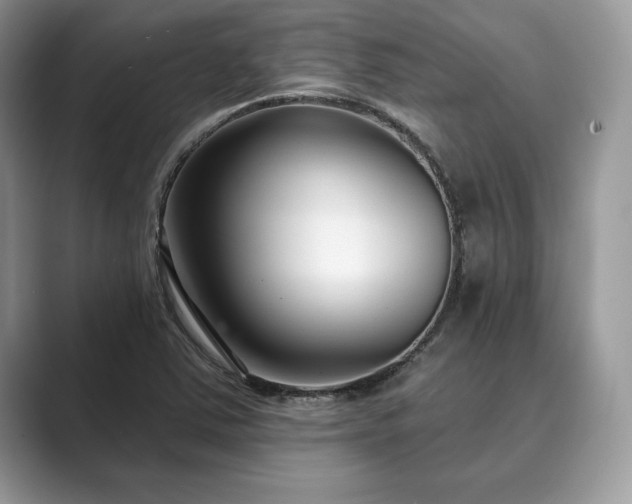 X0000089901363200707051259