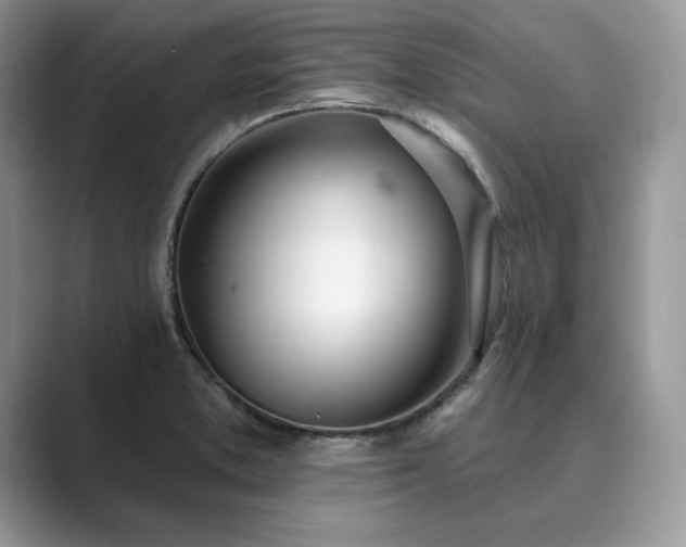 X0000089901373200707051259