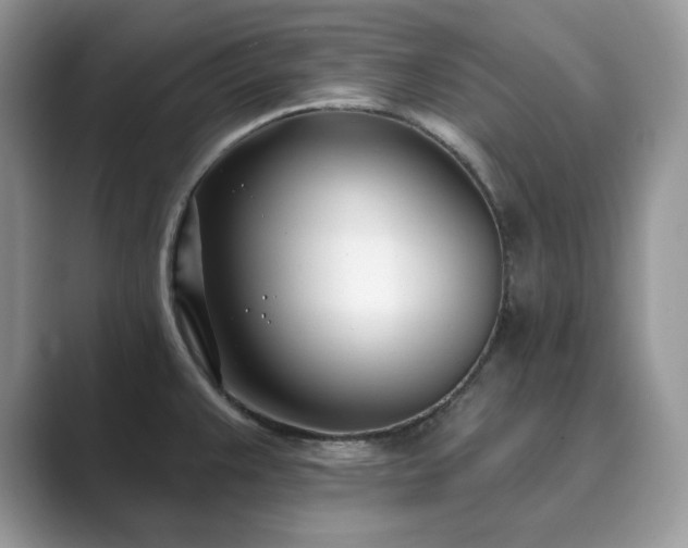 X0000089901383200707051259