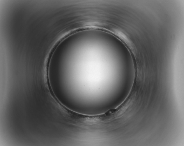 X0000089901384200707051259