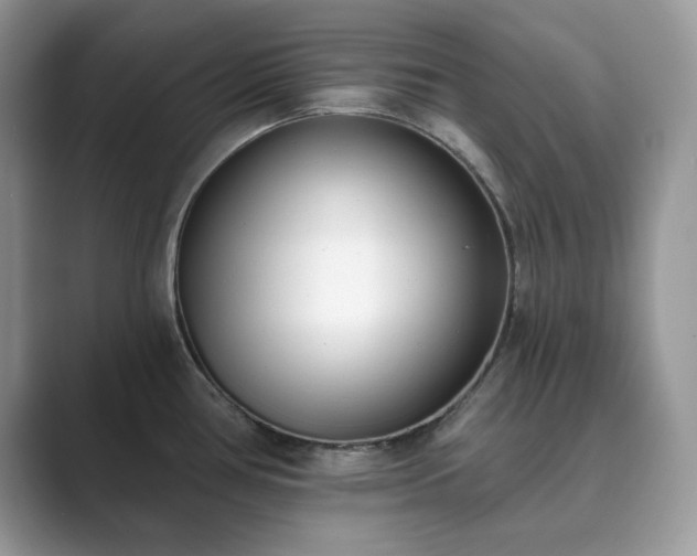 X0000089901386200707051259