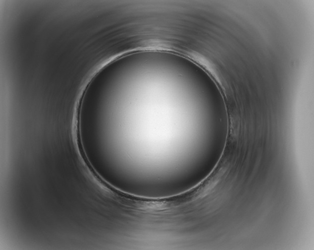 X0000089901387200707051259