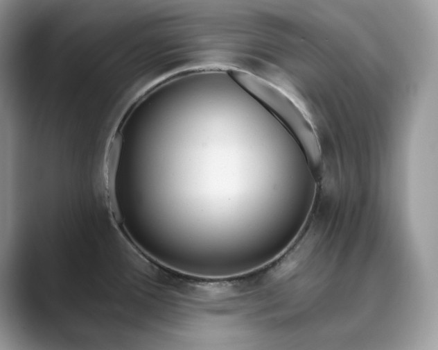 X0000089901388200707051259