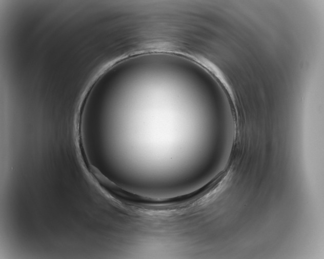 X0000089901389200707051259