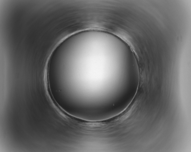 X0000089901391200707051259