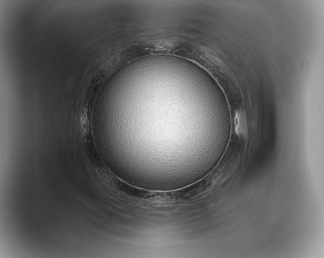 X0000089901395200707051259
