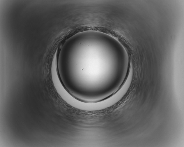 X0000089901398200707051259