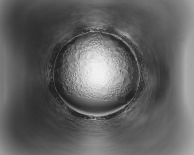 X0000089901399200707051259
