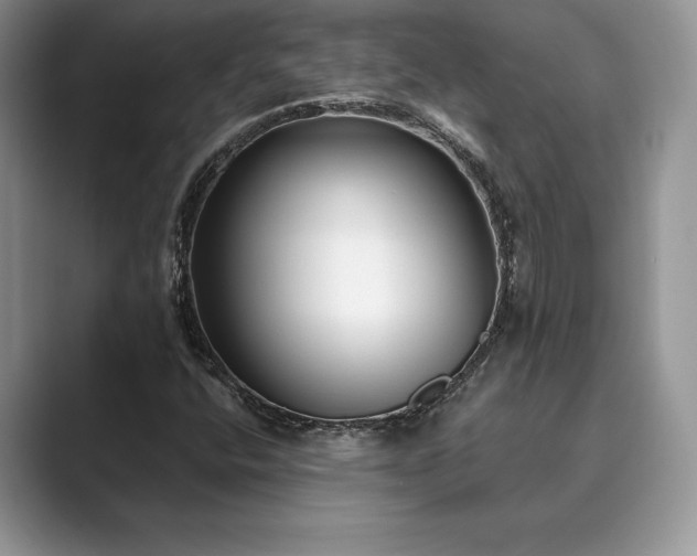 X0000089901400200707051259