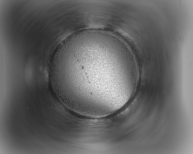 X0000089901401200707051259