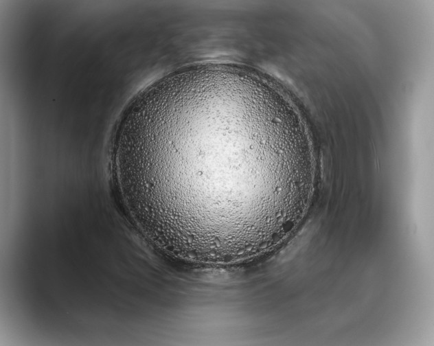 X0000089901405200707051259
