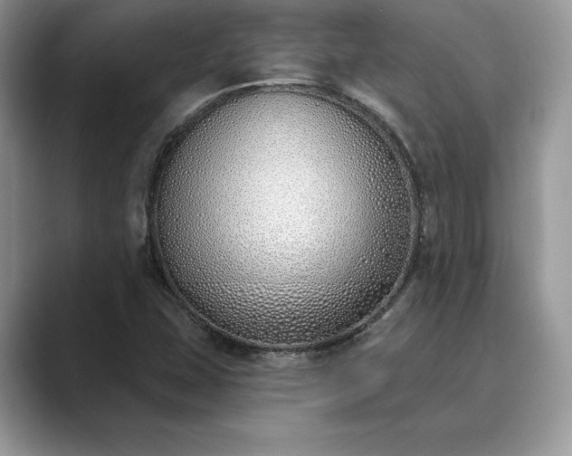 X0000089901407200707051259