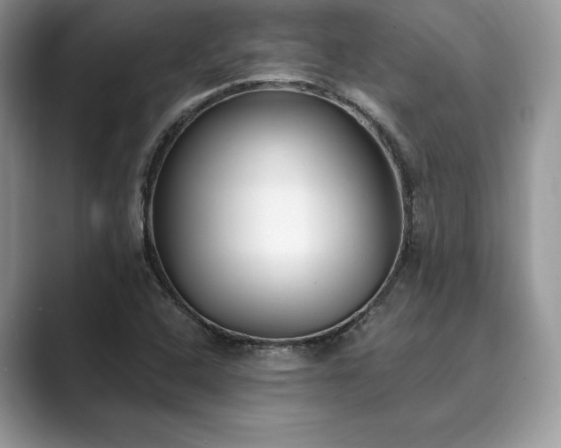 X0000089901408200707051259