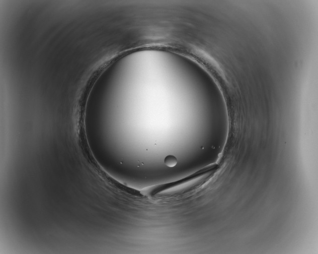 X0000089901411200707051259