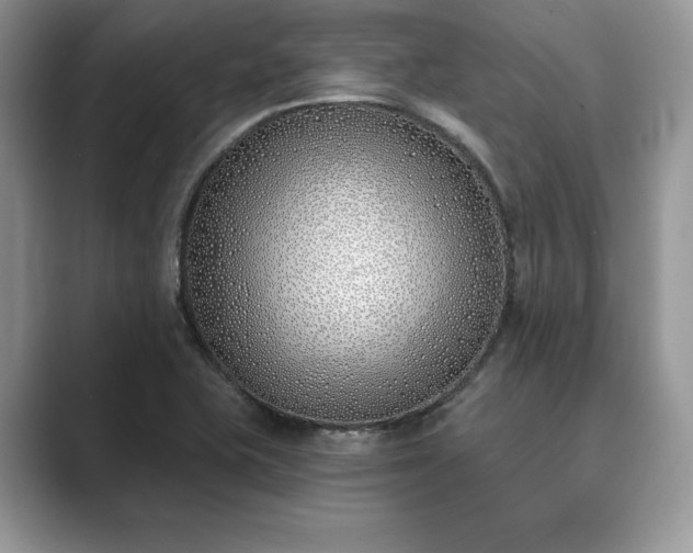 X0000089901415200707051259