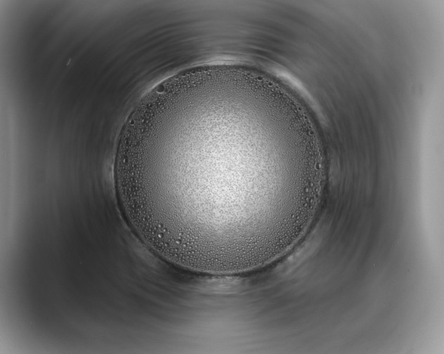 X0000089901417200707051259