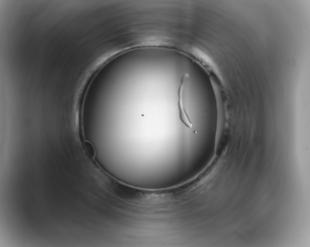 X0000089901419200707051259