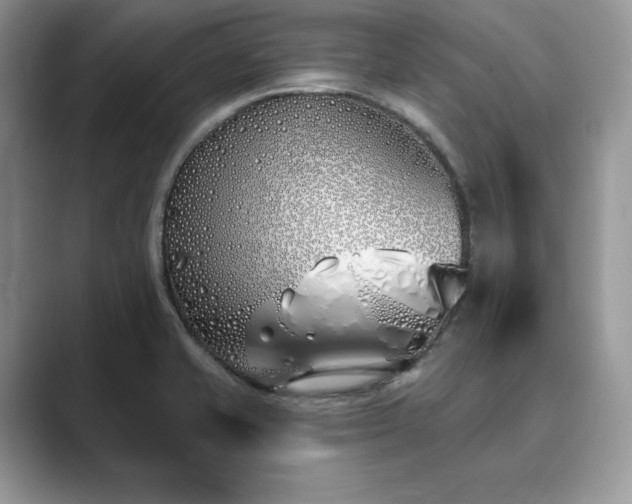 X0000089901421200707051259