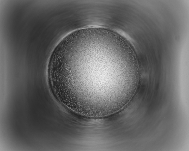 X0000089901423200707051259